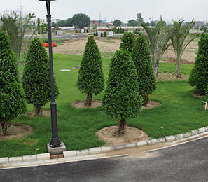 Buy residential property Bathinda